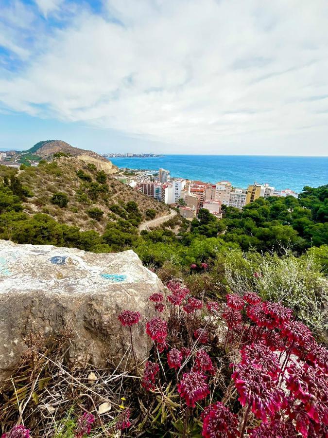 Hanna'S Estudio Deluxe Alicante Zewnętrze zdjęcie